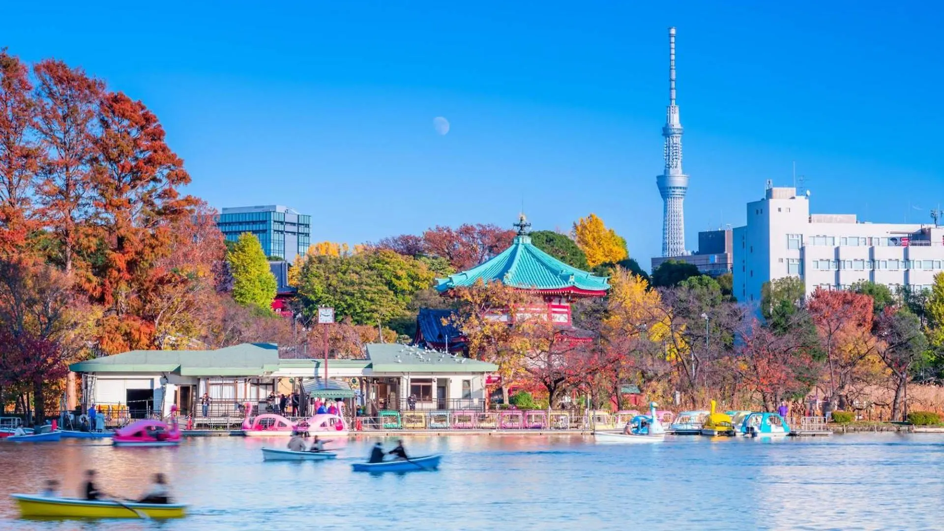 شقة Iriya House 入谷公寓 طوكيو اليابان